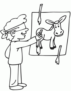 pin the tail on the donkey