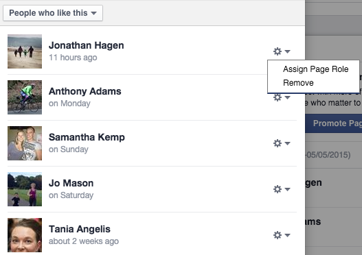 Adding a Page role on Facebook Pages