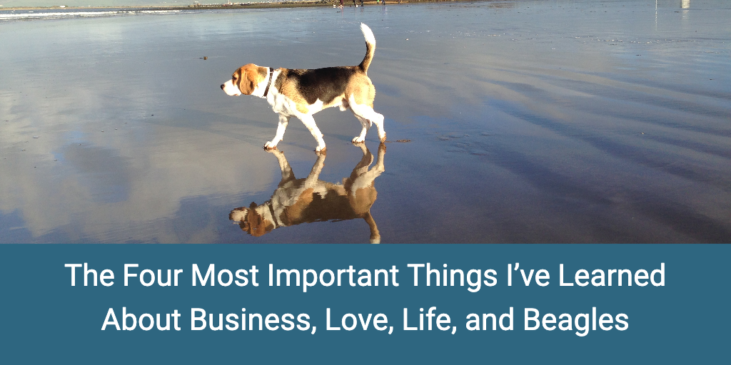 The four most important things I’ve learned about business, love, life, and Beagles